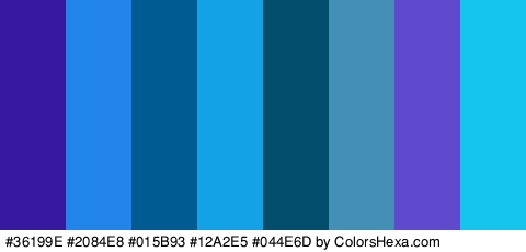 #36199E #2084E8 #015B93 #12A2E5 #044E6D #448FB5 #5F49CC #15C5ED Colors Logo