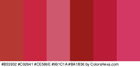 #B53932 #C92641 #CE586E #991C1A #BA1B36 #D33763 Colors Logo