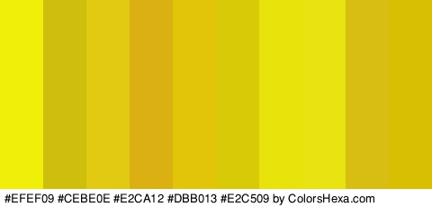 #EFEF09 #CEBE0E #E2CA12 #DBB013 #E2C509 #D8CA06 #E8E40B #EAE312 #D8BE13 #D8BF04 Colors Logo
