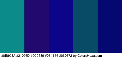 #0B8C8A #21096D #0C0589 #084B66 #060872 Colors Logo