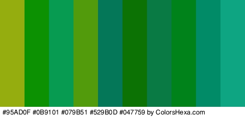 #95AD0F #0B9101 #079B51 #529B0D #047759 #0C7203 #097A43 #00821A #018C67 #0EA582 Colors Logo