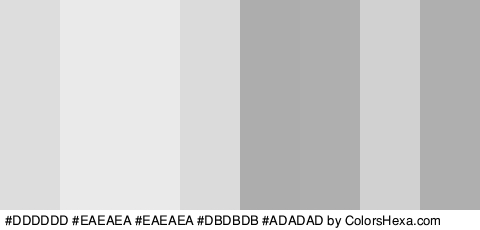 #DDDDDD #EAEAEA #EAEAEA #DBDBDB #ADADAD #AFAFAF #D1D1D1 #AFAFAF Colors Logo
