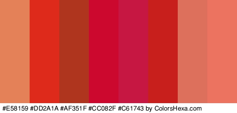 #E58159 #DD2A1A #AF351F #CC082F #C61743 #C91F1C #DD705D #ED7361 Colors Logo