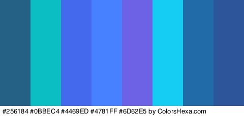 #256184 #0BBEC4 #4469ED #4781FF #6D62E5 #15CDF2 #216BA8 #2C5699 Colors Logo