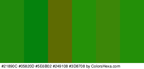 #21890C #05820D #5E6B02 #249108 #3D8708 #238E08 Colors Logo