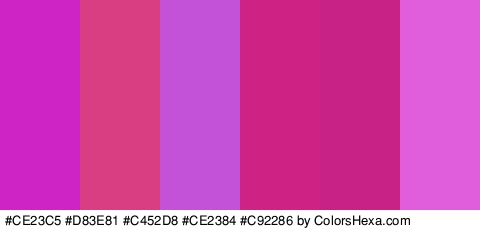 #CE23C5 #D83E81 #C452D8 #CE2384 #C92286 #E05EDC Colors Logo