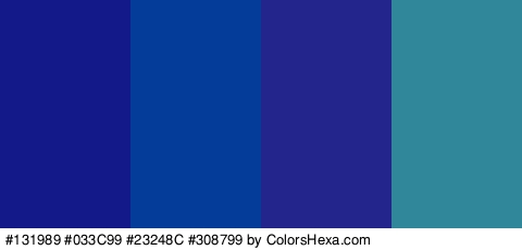 #131989 #033C99 #23248C #308799 Colors Logo