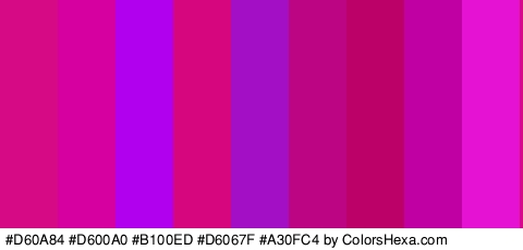 #D60A84 #D600A0 #B100ED #D6067F #A30FC4 #BC0582 #BC0168 #C100A4 #E512D3 Colors Logo