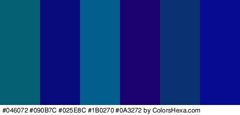 #046072 #090B7C #025E8C #1B0270 #0A3272 #070B91 Colors Logo