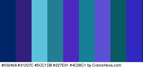 #002468 #31207C #5CC1DB #227E91 #4C28C1 #187F99 #5B50D3 #085A63 #3028C1 Colors Logo