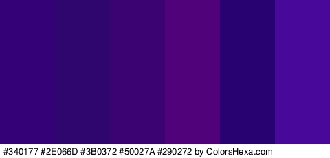 #340177 #2E066D #3B0372 #50027A #290272 #48099B Colors Logo