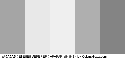 #A5A5A5 #E8E8E8 #EFEFEF #AFAFAF #848484 Colors Logo