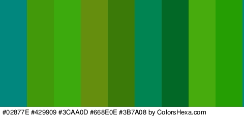 #02877E #429909 #3CAA0D #668E0E #3B7A08 #008451 #016825 #47AA0D #259E04 Colors Logo