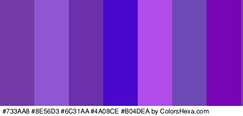 #733AA8 #8E56D3 #6C31AA #4A08CE #B04DEA #6E48B5 #7803B7 Colors Logo