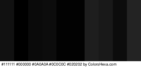 #111111 #000000 #0A0A0A #0C0C0C #020202 #020202 #1E1E1E #191919 #0C0C0C #232323 Colors Logo