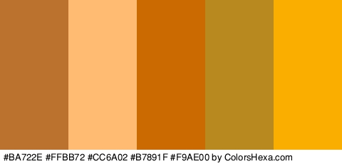 #BA722E #FFBB72 #CC6A02 #B7891F #F9AE00 Colors Logo