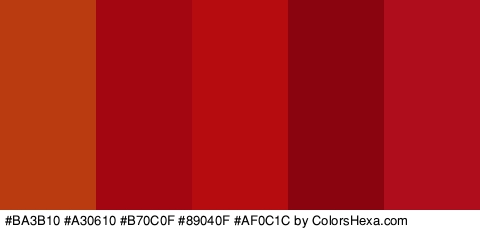 #BA3B10 #A30610 #B70C0F #89040F #AF0C1C Colors Logo