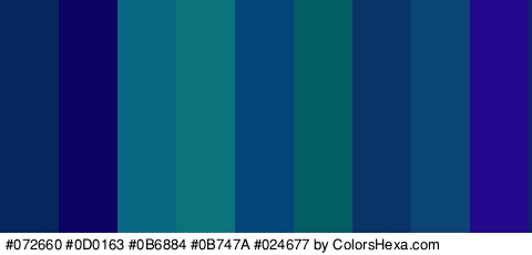 #072660 #0D0163 #0B6884 #0B747A #024677 #025E63 #093468 #0A4575 #23088E Colors Logo