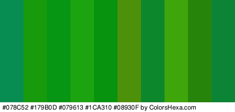#078C52 #179B0D #079613 #1CA310 #08930F #4D910A #0D872B #3EA50B #27840A #0B8436 Colors Logo