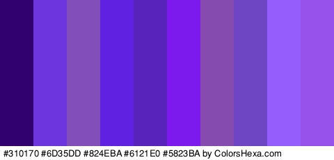#310170 #6D35DD #824EBA #6121E0 #5823BA #7C1AED #864BAF #6E46C4 #955DFC #9652EA Colors Logo