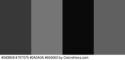 #383838 #757575 #0A0A0A #606060 Colors Logo