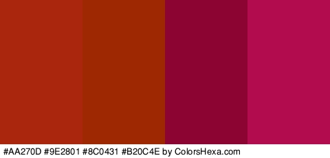 #AA270D #9E2801 #8C0431 #B20C4E Colors Logo