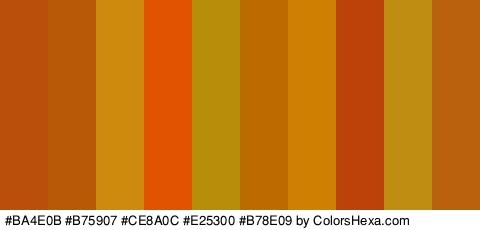 #BA4E0B #B75907 #CE8A0C #E25300 #B78E09 #BC6B01 #CE8002 #BC4209 #BF8D11 #BA610E Colors Logo