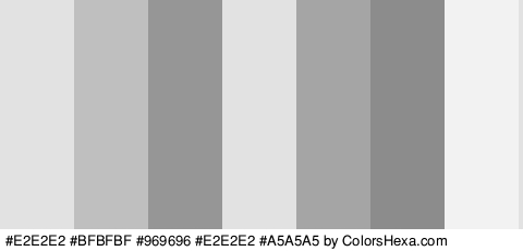 #E2E2E2 #BFBFBF #969696 #E2E2E2 #A5A5A5 #8C8C8C #F2F2F2 Colors Logo