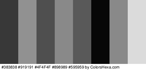 #383838 #919191 #4F4F4F #898989 #595959 #070707 #898989 #DBDBDB Colors Logo