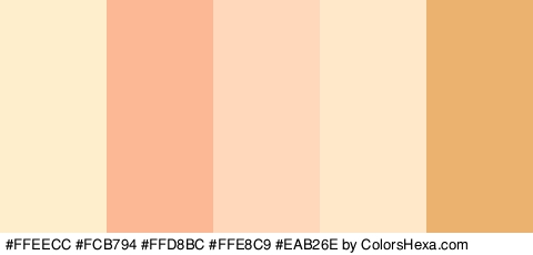#FFEECC #FCB794 #FFD8BC #FFE8C9 #EAB26E Colors Logo