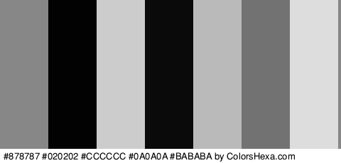 #878787 #020202 #CCCCCC #0A0A0A #BABABA #727272 #DDDDDD Colors Logo