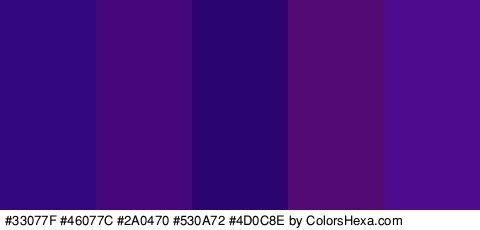 #33077F #46077C #2A0470 #530A72 #4D0C8E Colors Logo