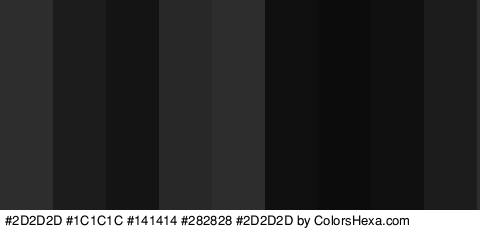 #2D2D2D #1C1C1C #141414 #282828 #2D2D2D #0F0F0F #0C0C0C #0F0F0F #1C1C1C Colors Logo