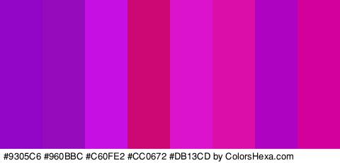 #9305C6 #960BBC #C60FE2 #CC0672 #DB13CD #DB0FA8 #AE03C1 #D3009B Colors Logo