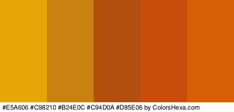 #E5A606 #C98210 #B24E0C #C94D0A #D85E06 Colors Logo