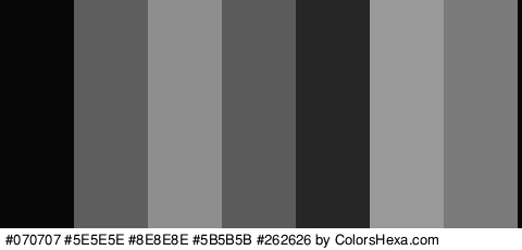 #070707 #5E5E5E #8E8E8E #5B5B5B #262626 #999999 #7A7A7A Colors Logo