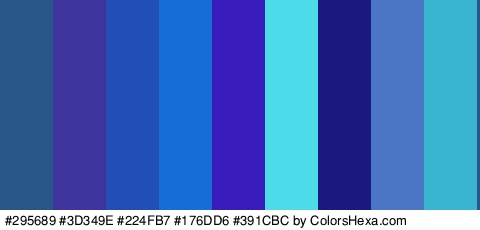 #295689 #3D349E #224FB7 #176DD6 #391CBC #4CDBE8 #1B187F #4B76C6 #38B5D1 Colors Logo