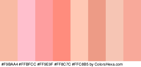 #F9BAA4 #FFBFCC #FF9E9F #FF8C7C #FFC8B5 #ED9B87 #F7C5B4 #F9A99A Colors Logo