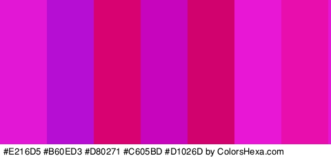 #E216D5 #B60ED3 #D80271 #C605BD #D1026D #E817D6 #E80DAD Colors Logo