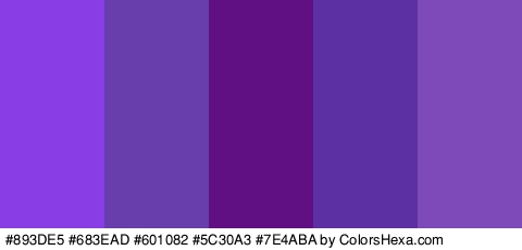#893DE5 #683EAD #601082 #5C30A3 #7E4ABA Colors Logo