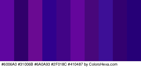 #6006A0 #31006B #6A0A93 #2F018C #410487 #64069B #48077A #3C0F96 #330270 #250077 Colors Logo
