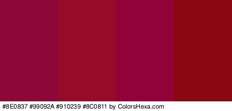 #8E0837 #99092A #910239 #8C0811 Colors Logo