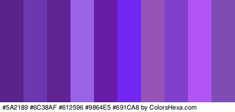 #5A2189 #6C38AF #612596 #9864E5 #691CA8 #7327F7 #9552B7 #803FCC #B255F4 #7F4CB2 Colors Logo