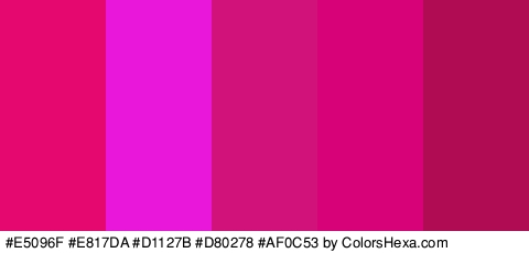 #E5096F #E817DA #D1127B #D80278 #AF0C53 Colors Logo