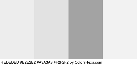 #EDEDED #E2E2E2 #A3A3A3 #F2F2F2 Colors Logo
