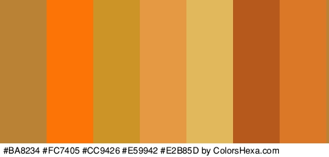 #BA8234 #FC7405 #CC9426 #E59942 #E2B85D #B5591C #DB7827 Colors Logo