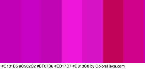 #C101B5 #C902C2 #BF07B6 #ED17D7 #D813C8 #C10359 #D1028C Colors Logo