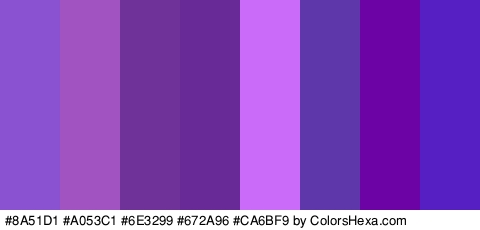 #8A51D1 #A053C1 #6E3299 #672A96 #CA6BF9 #5E38AA #6C03A5 #561FC4 Colors Logo