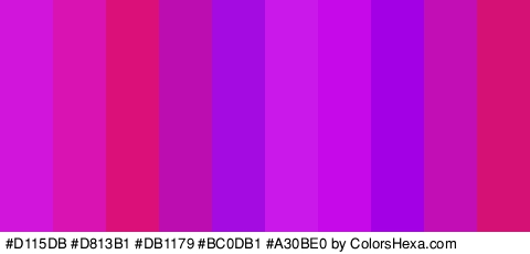 #D115DB #D813B1 #DB1179 #BC0DB1 #A30BE0 #CA17EA #C609E8 #A400E5 #C10FB5 #D61176 Colors Logo