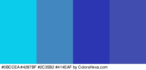 #0BCCEA #4287BF #2C35B2 #414EAF Colors Logo
